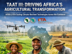 TAAT III: AfDB Bets Again on Technology to Drive Africa’s Agricultural Reset