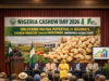 NIGERIA CASHEW DAY 2026: A GATHERING OF INDUSTRY GIANTS FOR SECTORAL REFORMS